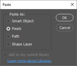 paste to photoshop, options window