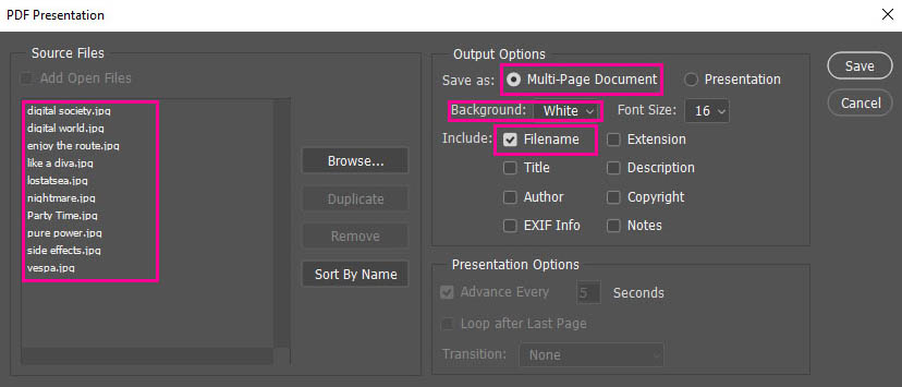 PDF presentation settings