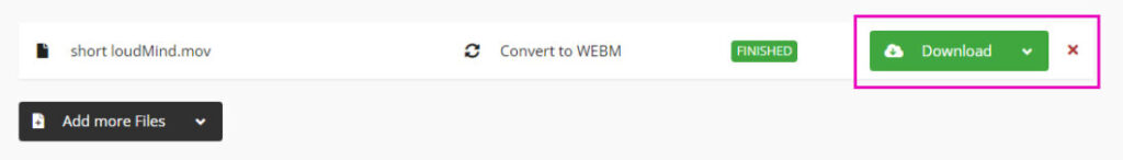 download the webm format