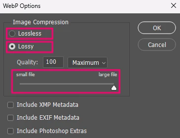 webp image format window optionas